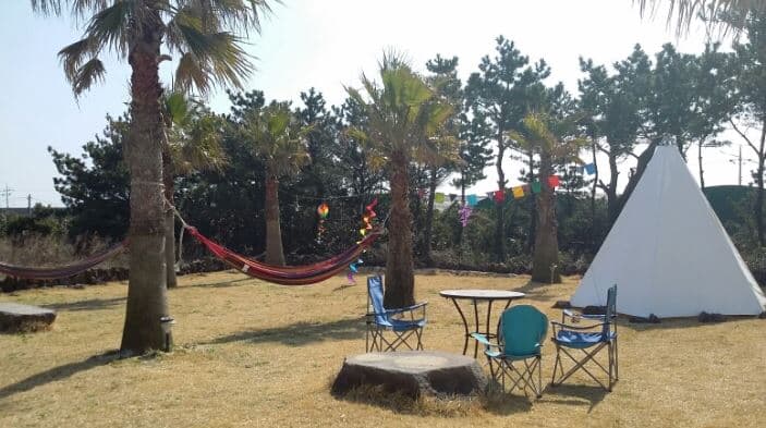 선스토리 - 이미지 1