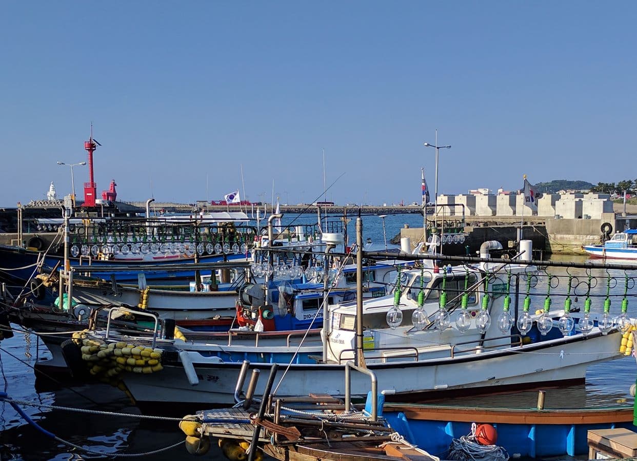 제주 이호털보 배낚시 - 이미지 1