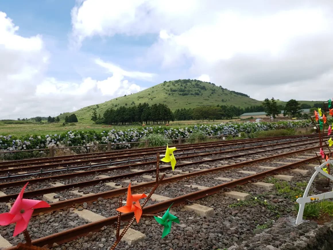 제주레일바이크 - 이미지 1