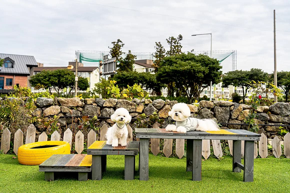 러블리독스 - 이미지 1