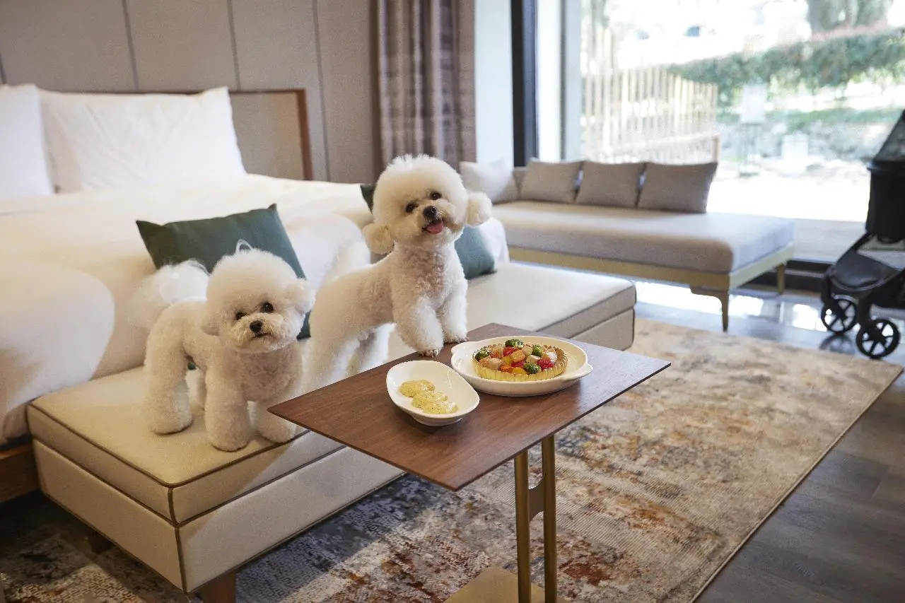 엠버퓨어힐호텔&리조트 - 이미지 1