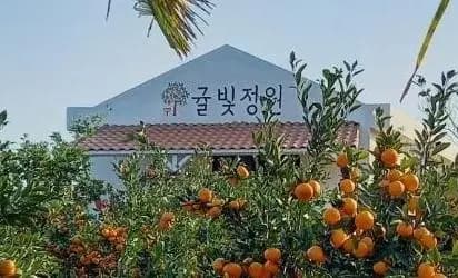 귤빛정원감귤체험농장 - 이미지 1