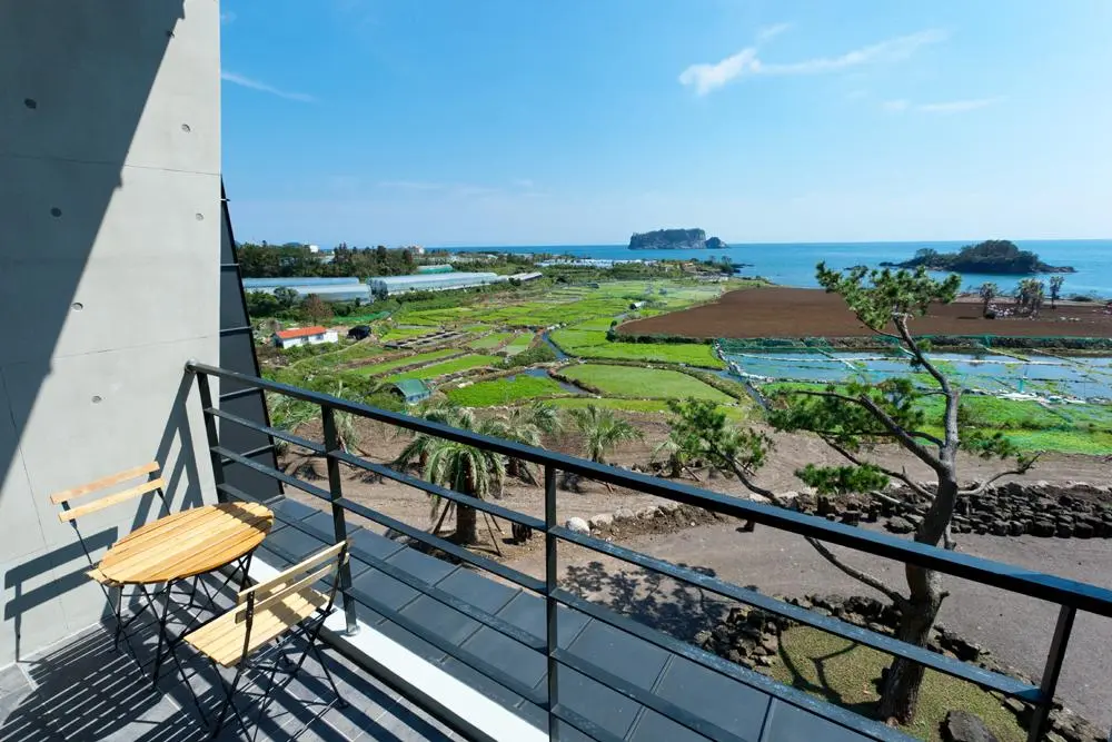 더비비스제주 - 이미지 1