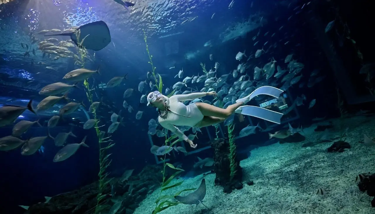 제주프리다이빙 안쌤프리다이브 - 이미지 1